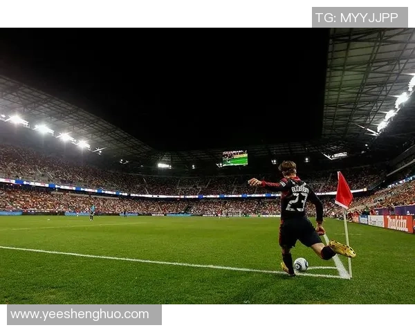 聚焦绿茵场璀璨之星77号探秘他背后的荣耀与奋斗之路